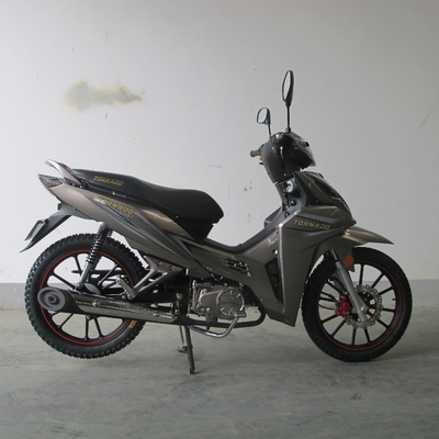 6.5KW Front Disc Brake TR135-NG Cub Motorcycle